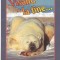 bnk cp Felicitare - Visand la tine ... - urs polar