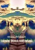 Intre doua drumuri | Silvia Budescu