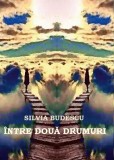 Intre doua drumuri | Silvia Budescu, 2021