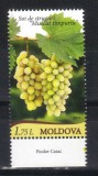 MOLDOVA 2013, Struguri, serie neuzata, MNH, Nestampilat