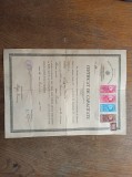 Cumpara ieftin CERIFICAT DE CAPACITATE , SCOALA DE PADURARI GURGHIU, 1931 * DIPLOA RARA !