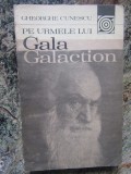 Gheorghe Cunescu - Pe urmele lui Gala Galaction