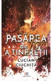 Pasarea de foc a tineretii - Lucian Ciuchita