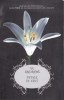 AS - V.C.ANDREWS - PETALE IN VANT