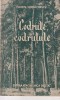 Florin Iordachescu - Codrule, codrutule | Agrosilvica | 1957 | Gradinarit | 70 pagini | Brosat | 13x20 cm