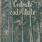 Florin Iordachescu - Codrule, codrutule