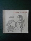 FEDRU - FABULE