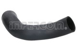 ORIGINAL IMPERIUM 230315 Furtun ear supraalimentare