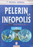 Cumpara ieftin Pelerin la Infopolis - Neagu Udroiu - Editura Niculescu, 1999, 382 pagini, Coperta Brosata, ISBN 973-568-330-X