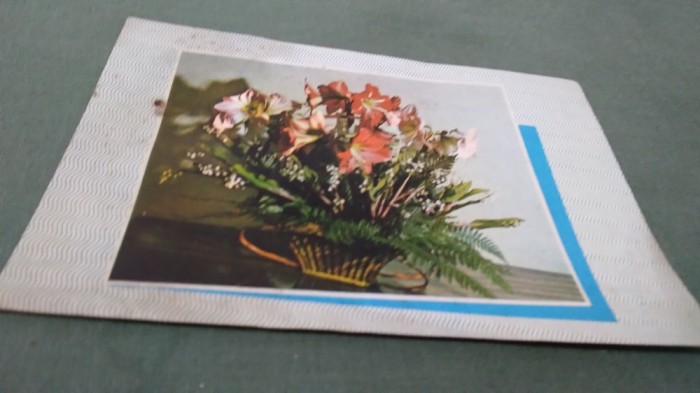 CARTE POSTALA FELICITARE CIRCULATA