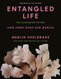 Entangled Life: Illustrated Edition - Merlin Sheldrake - Carte despre Fungi