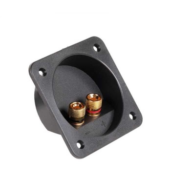 Conector boxa 2 terminale aurite foto