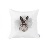 Fata de Perna Pet V6, 45x45 cm