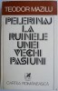 Pelerinaj la ruinele unei vechi pasiuni - Teodor Mazilu - Roman - Carte beletristica