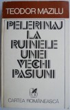 Pelerinaj la ruinele unei vechi pasiuni - Teodor Mazilu - Roman