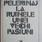 Pelerinaj la ruinele unei vechi pasiuni &ndash; Teodor Mazilu