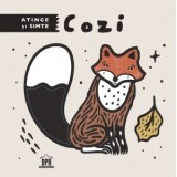 Atinge si simte. Cozi - Surya Sajnani