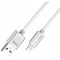 Cablu METAL iPhone Golf 10i argintiu 1m 2.1A Fast Charging