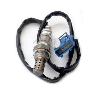 Meat &amp;amp;amp; Doria Sonda Lambda foto