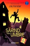 Sarind prin umbre - J. M. Forster