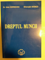 DREPTUL MUNCII foto