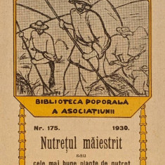 1930 agricultura NUTRETUL MAIESTRIT Cele mai bune plante FURAJ Lucerna Mohor