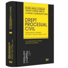 Drept procesual civil. Curs de baza pentru licenta, seminare si examene - Viorel Mihai Ciobanu, Traian Cornel Briciu, Claudiu Constantin Dinu