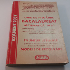 GHID DE PREGATIRE BACALAUREAT. MATEMATICA M1 - CRISTINA ANDREI, CARMEN ANGELESCU