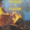 VREMURI IN FLACARI-ION CROITORU-238716