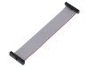 Cablu panglică SAMTEC IDC 101,6mm FFSD-13-D-04.00-01-N cu conectori IDC ambele părți