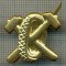 Y 1771 INSIGNA - MILITARA -SEMN DE ARMA - AUTO -PENTRU COLECTIONARI