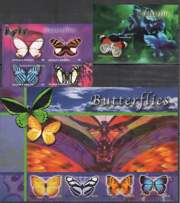 ANTIGUA 2003 FLUTURI