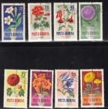 A11 TW 5 - 1964 - Flori de gradina