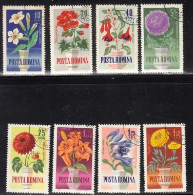 A11 TW 5 - 1964 - Flori de gradina foto