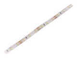 Bandă LED alb rece 12V IP65 12W/m