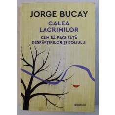 CALEA LACRIMILOR - CUM SA FACI FATA DESPARTIRILOR SI DOLIULUI de JORGE BUCAY , 2018
