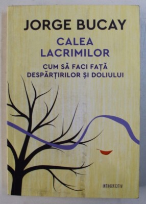 CALEA LACRIMILOR - CUM SA FACI FATA DESPARTIRILOR SI DOLIULUI de JORGE BUCAY , 2018 foto