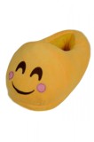 PC25-9 Botosei de casa pufosi cu emoticon blushing