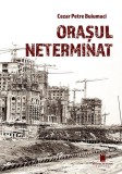 Orașul neterminat - Paperback brosat - Cezar Petre Buiumaci - Cetatea de Scaun