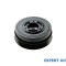 Fulie vibrochen MINI Cooper S (2001-2006) #1