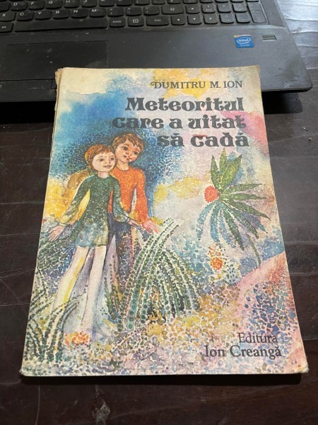 Dumitru Ion - Meteoritul care a uitat sa cada