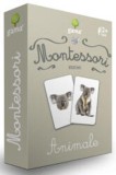 Montessori. Asocieri: Animale - Gama