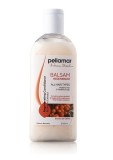 SAMPON REGENERANT EXTRACT CATINA 250ML
