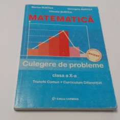 MARIUS BURTEA MATEMATICA CULEGERE DE PROBLEME CLASA A X A RF3