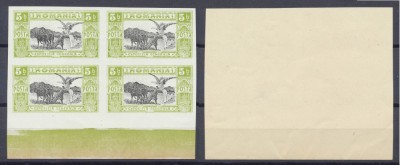 ROMANIA 1906 Expozitia Generala timbru 5 bani nedantelat bloc 4 eroare sau eseu foto
