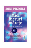 Mici lucruri mărețe - Paperback brosat - Jodi Picoult - Trei