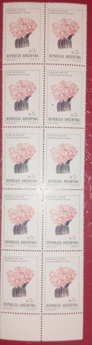 Argentina 1987 , flori de cactus, plante, flora, 1v. X10, mnh