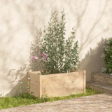Jardiniera de gradina, 100x50x50 cm, lemn masiv de pin GartenMobel Dekor, vidaXL