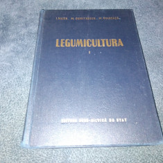 I MAIER - LEGUMICULTURA VOL I