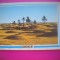 HOPCT 6534 OAZA IN MIJLOCUL DUNELOR DE NISIP -SAHARA -DOUZ -TUNISIA -STAMPILOGRAFIE-AFRICA-CIRCULATA